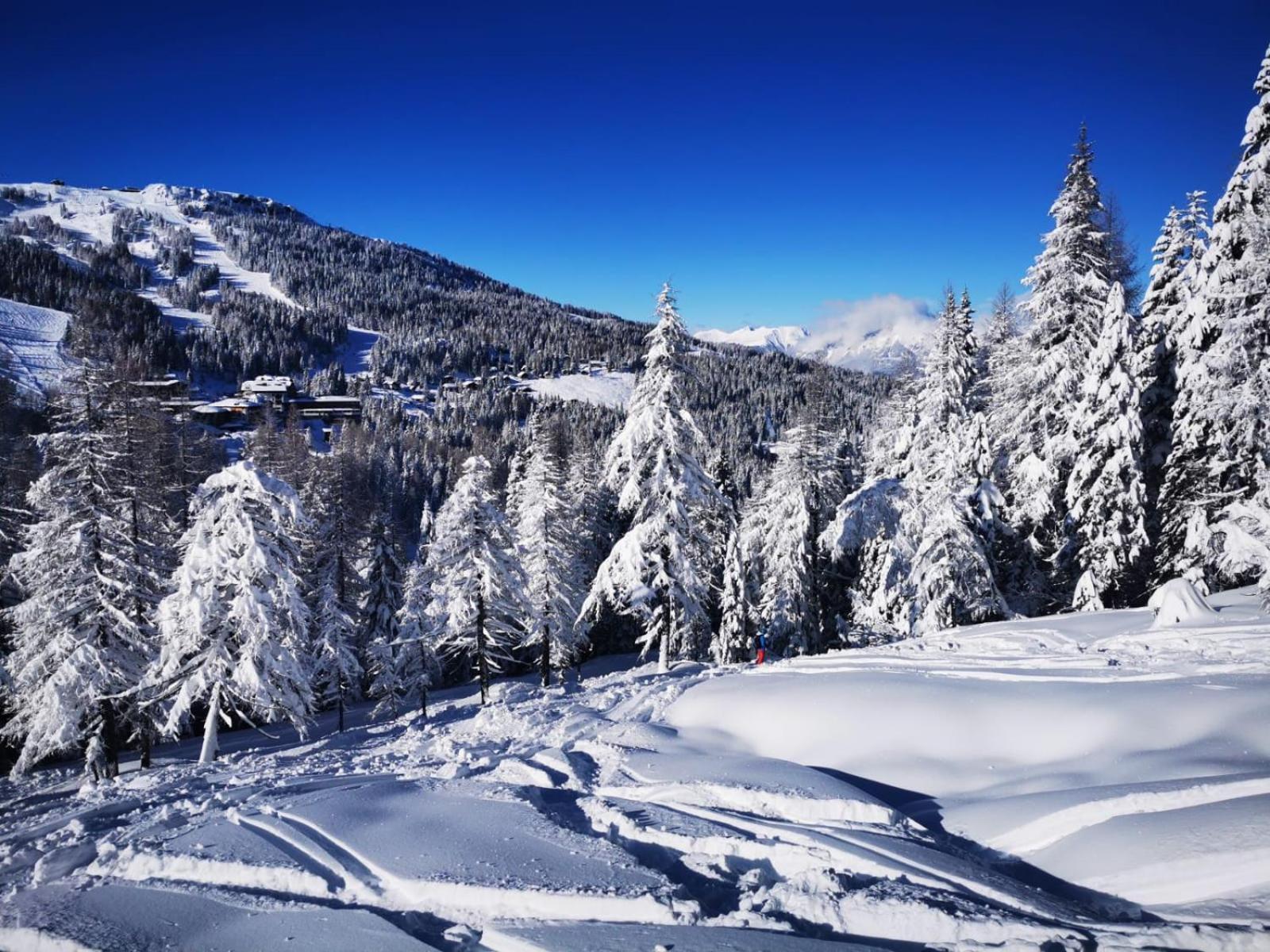 Naturgut Gailtal