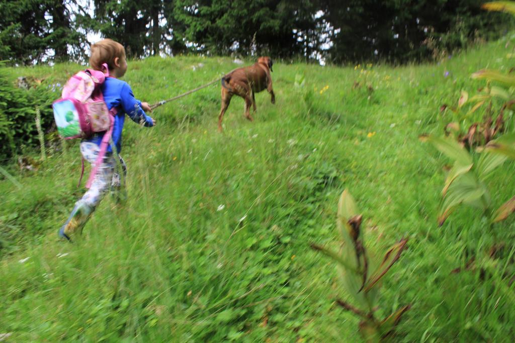 Herberg Naturgut Gailtal Sankt Stefan an der Gail