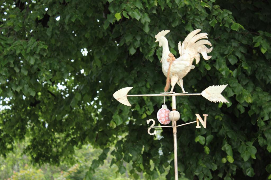 Naturgut Gailtal Sankt Stefan an der Gail