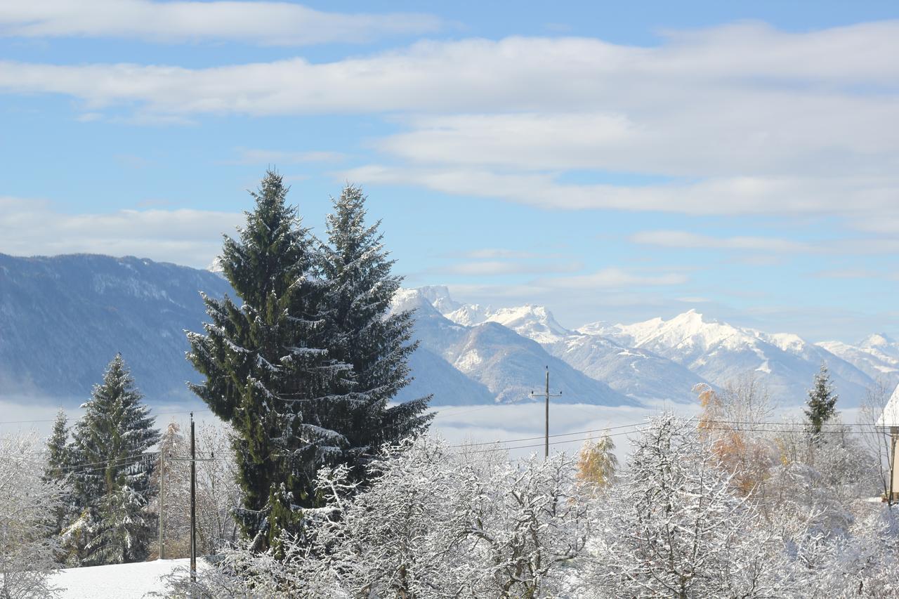 Naturgut Gailtal Sankt Stefan an der Gail